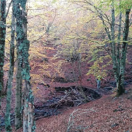 La Senda De Caracoles - Grado del Pico