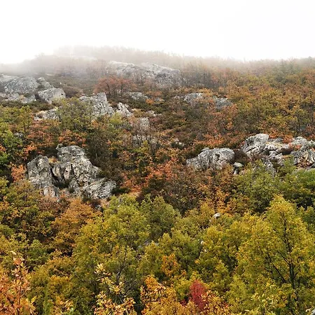 La Senda De Caracoles - *