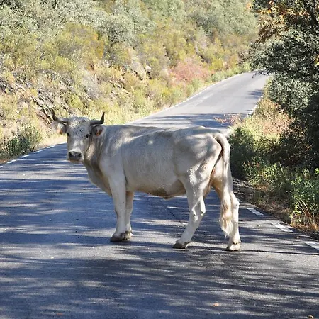 La Senda De Caracoles - Grado del Pico
