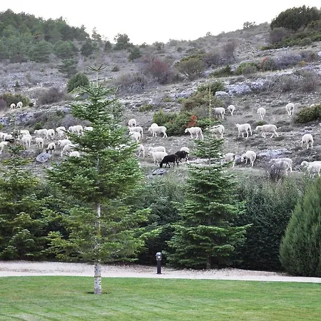 La Senda De Caracoles - * Grado del Pico