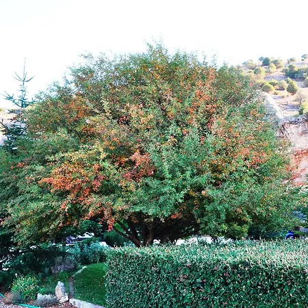 Hotel La Senda De Caracoles - *