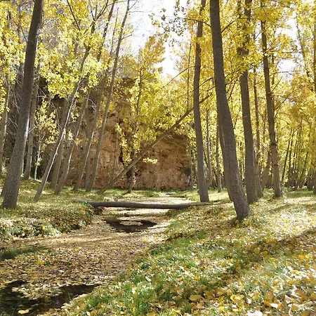 La Senda De Caracoles - Grado del Pico