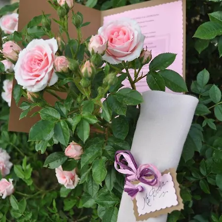 La Senda De Caracoles - Grado del Pico