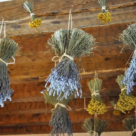 La Senda De Caracoles - Grado del Pico