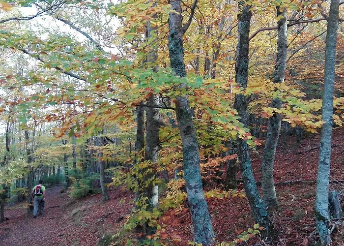 Hotel La Senda De Caracoles -