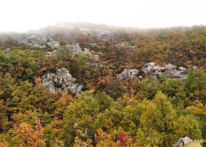 La Senda De Caracoles - *