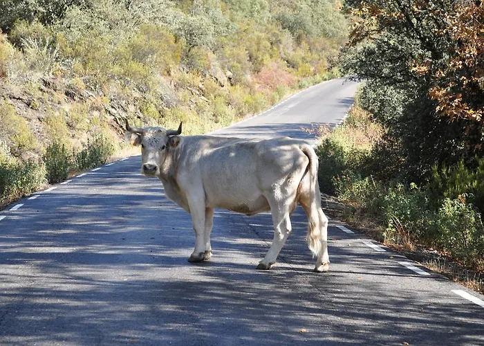 La Senda De Caracoles - Grado del Pico