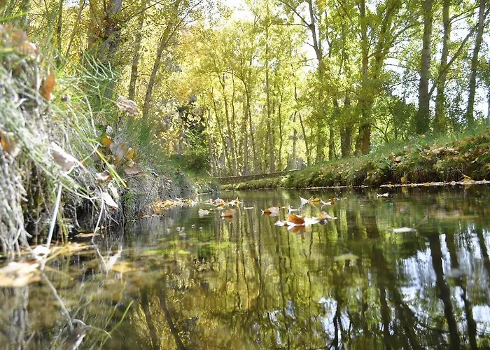 La Senda De Caracoles -