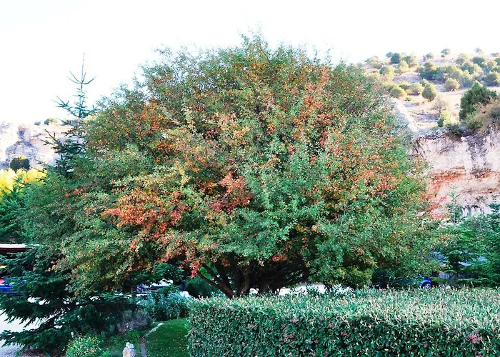 Hotel La Senda De Caracoles - *