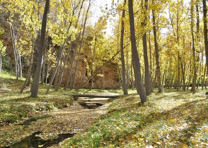 La Senda De Caracoles - Grado del Pico