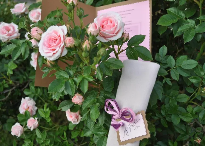 La Senda De Caracoles - Grado del Pico