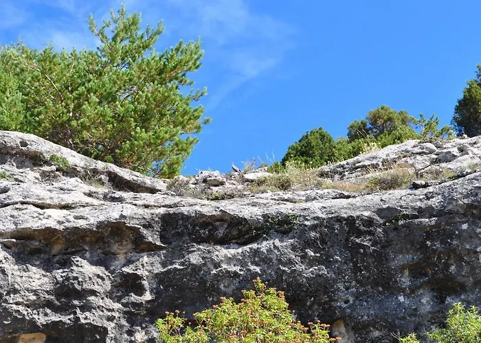 La Senda De Caracoles -