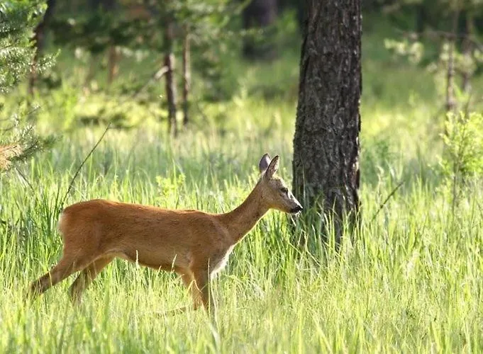 La Senda De Caracoles - Hotel