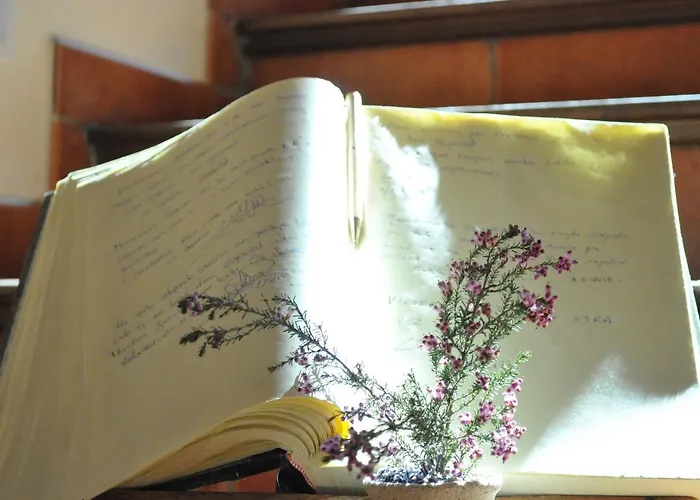 La Senda De Caracoles - Grado del Pico