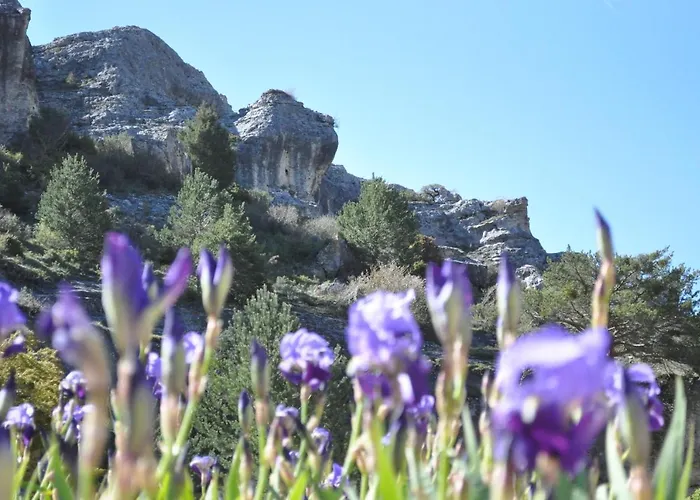 La Senda De Caracoles - *